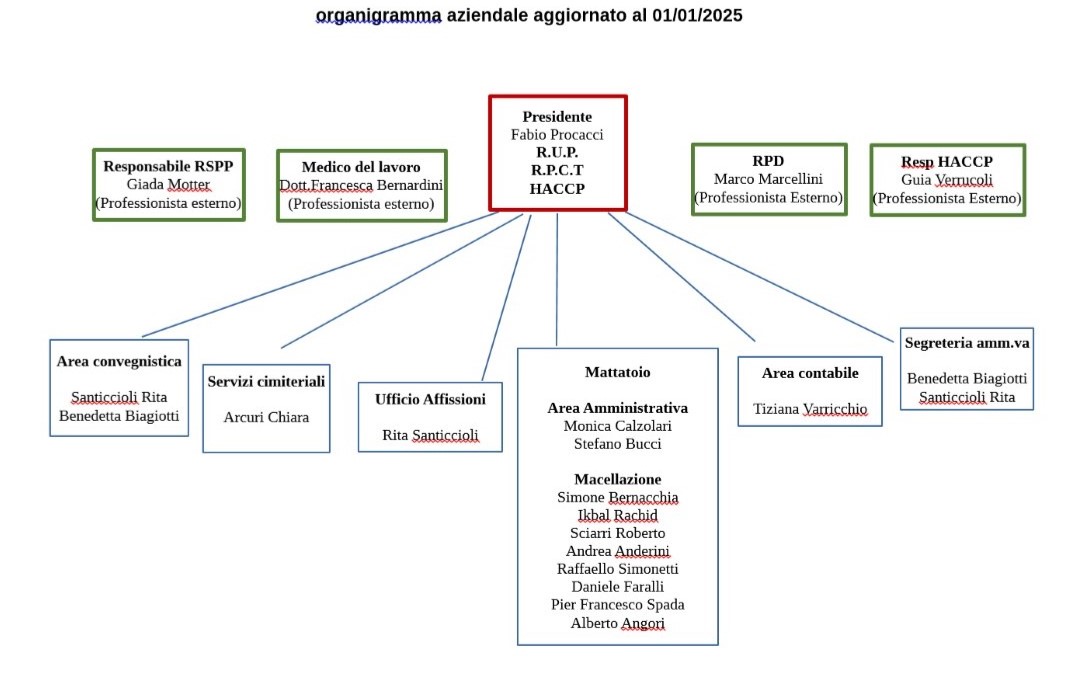 Organigramma.jpg